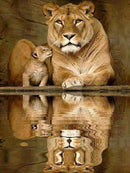 Evershine 5D Diamond Painting Cat Full Square Diamond Embroidery Animals Reflection Pictures Of Rhinestones Mosaic Home Decor