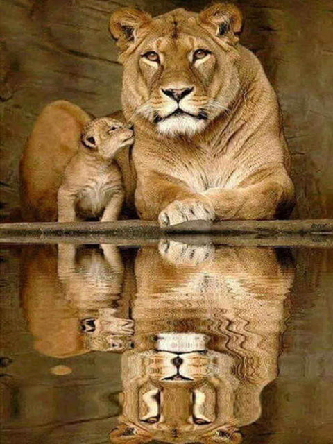 Evershine 5D Diamond Painting Cat Full Square Diamond Embroidery Animals Reflection Pictures Of Rhinestones Mosaic Home Decor