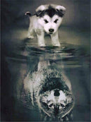 Evershine 5D Diamond Painting Cat Full Square Diamond Embroidery Animals Reflection Pictures Of Rhinestones Mosaic Home Decor