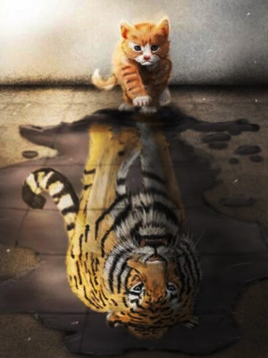 Evershine 5D Diamond Painting Cat Full Square Diamond Embroidery Animals Reflection Pictures Of Rhinestones Mosaic Home Decor