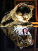 Evershine 5D Diamond Painting Cat Full Square Diamond Embroidery Animals Reflection Pictures Of Rhinestones Mosaic Home Decor