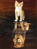 Evershine 5D Diamond Painting Cat Full Square Diamond Embroidery Animals Reflection Pictures Of Rhinestones Mosaic Home Decor