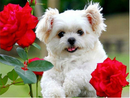 Evershine Full Square Diamond Painting Dog 5D DIY Animal Diamond Embroidery Cross Stitch Kit Handmade Gift Home Decoration