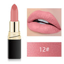 Lipstick Highly Pigmented Waterproof Matte Smooth Liquid Lipstick