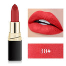 Lipstick Highly Pigmented Waterproof Matte Smooth Liquid Lipstick