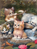 Evershine 5D DIY Diamond Painting Cat Cross Stitch Animal Embroidery Complete Kit Picture Of Rhinestones Mosaic Decoration Home