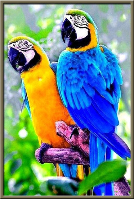 5D Diamond Painting Animals Horse Diamond Mosaic Tiger Lion DIY Full Round Diamond Embroidery Cross Stitch  Rhinestone Art