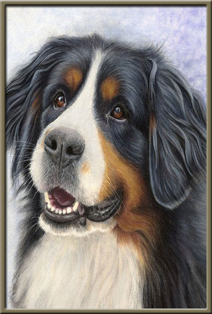 5D Diamond Painting Animals Horse Diamond Mosaic Tiger Lion DIY Full Round Diamond Embroidery Cross Stitch  Rhinestone Art