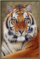 5D Diamond Painting Animals Horse Diamond Mosaic Tiger Lion DIY Full Round Diamond Embroidery Cross Stitch  Rhinestone Art