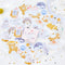 45 pcs/Box Various Stickers Pack Kawaii Planner Journal Scrapbooking Stickers Stationery School Supplies