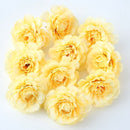 10pcs/lot Artificial Flowers 5CM Silk Rose Head For Wedding Party Home Garden Decorations DIY Craft  Wreath Christmas Flower