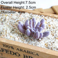 39Styles Purple Flocking Artificial Succulents Plants Home Garden Decoration DIY Plants Wall Flower Arrangement Fake Plants