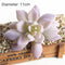 39Styles Purple Flocking Artificial Succulents Plants Home Garden Decoration DIY Plants Wall Flower Arrangement Fake Plants