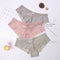 3 Pcs Panties for Woman Underwear Sexy Lace Breathable Soft Lingerie Female Briefs Panty Sexy Transparent Women's Underpants