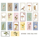 40pcs/pack Museum Series Decorative Stickers Scrapbooking Stick Label Diary Album Stationery Retro Stamp Plant Sticker