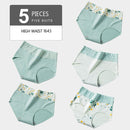 LANGSHA 5Pcs Women Panties Lady Cotton Underwear Girls Breathable Seamless High Waist Briefs Women Cute Sexy Lingerie Intimates