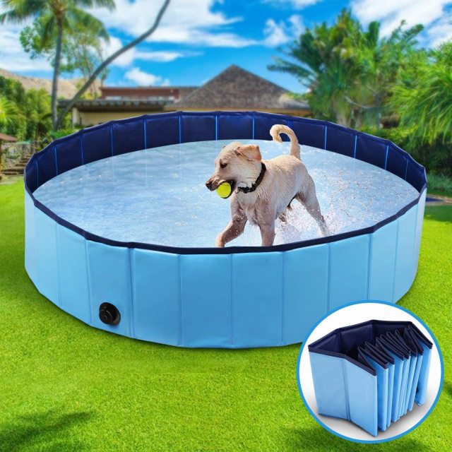 Dog Pool Foldable Dog Swimming Pool Pet Bath Swimming Tub Bathtub Pet Swimming Pool Collapsible Bathing Pool for Dogs Cats Kids