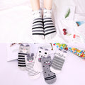 5 Pairs Lot Cotton Women Socks Female Casual Boat 3D Pack Cartoon Harajuku Unicron Cat Cute Invisiable Funny Girl Ankle Sock Set