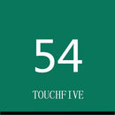 TOUCHFIVE 168 Colors Single Art Markers Brush Pen Sketch Alcohol Based Markers Dual Head Manga Drawing Pens Art Supplies