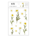 Journamm 12 Designs Natural Daisy Clover Japanese Words Stickers Transparent PET Material Flowers Leaves Plants Deco Stickers