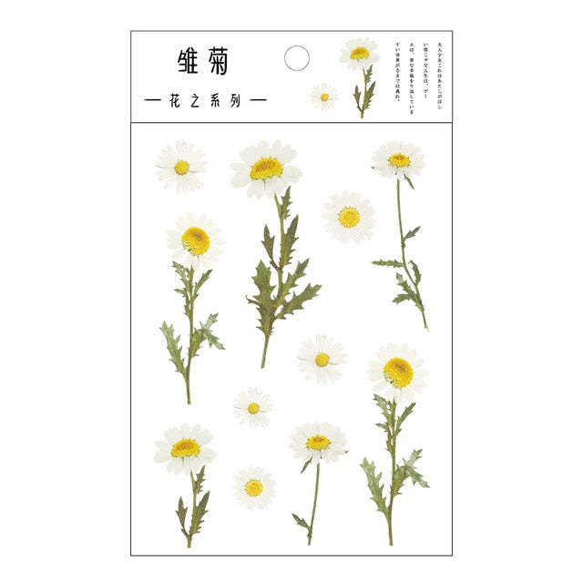 Journamm 12 Designs Natural Daisy Clover Japanese Words Stickers Transparent PET Material Flowers Leaves Plants Deco Stickers