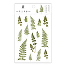 Journamm 12 Designs Natural Daisy Clover Japanese Words Stickers Transparent PET Material Flowers Leaves Plants Deco Stickers