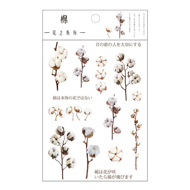 Journamm 12 Designs Natural Daisy Clover Japanese Words Stickers Transparent PET Material Flowers Leaves Plants Deco Stickers