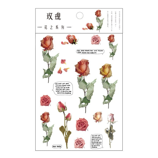 Journamm 12 Designs Natural Daisy Clover Japanese Words Stickers Transparent PET Material Flowers Leaves Plants Deco Stickers