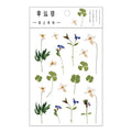 Journamm 12 Designs Natural Daisy Clover Japanese Words Stickers Transparent PET Material Flowers Leaves Plants Deco Stickers