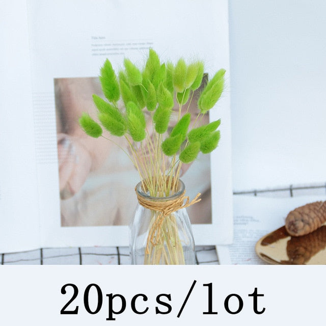 Bulrush Natural Dried Flowers Artificial Plants Branch Colorful INS Pampas Grass Phragmites Fake Flower Wedding Home Decoration