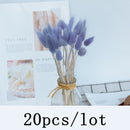 Bulrush Natural Dried Flowers Artificial Plants Branch Colorful INS Pampas Grass Phragmites Fake Flower Wedding Home Decoration