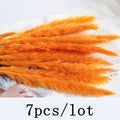 Bulrush Natural Dried Flowers Artificial Plants Branch Colorful INS Pampas Grass Phragmites Fake Flower Wedding Home Decoration