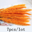Bulrush Natural Dried Flowers Artificial Plants Branch Colorful INS Pampas Grass Phragmites Fake Flower Wedding Home Decoration