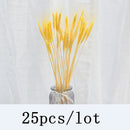 Bulrush Natural Dried Flowers Artificial Plants Branch Colorful INS Pampas Grass Phragmites Fake Flower Wedding Home Decoration
