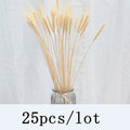 Bulrush Natural Dried Flowers Artificial Plants Branch Colorful INS Pampas Grass Phragmites Fake Flower Wedding Home Decoration