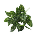 New Artificial Shrubs Creative Decorative Artificial Plant Ferns Simulation Plant Plastic Flower Fern Wall Material Accessories