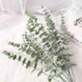 10Pcs Plastic Eucalyptus Leaves Fake Plants Flower Material for Wedding Flower Wall Home Decoration Greenery Plant Leaf Decor