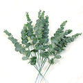 10Pcs Plastic Eucalyptus Leaves Fake Plants Flower Material for Wedding Flower Wall Home Decoration Greenery Plant Leaf Decor