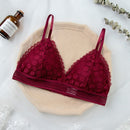 Women Lace Bra No Steel Ring Beauty Back Wrapped Chest Comfortable Daisy Brassiere Stretch Triangle Cup Padded Underwear 1/2Pcs