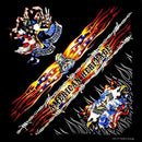 New Design Fashion Hip Hop 100% Cotton Skull Bandana Square Scarf Black Paisley Bicycle Headband For Women/Men/Boys/Girls