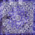 2020 New Fashion Hip Hop 100% Cotton Bandana Square Scarf 55cm*55cm Black Red Paisley Headband Printed For Women/Men/Boys/Girls