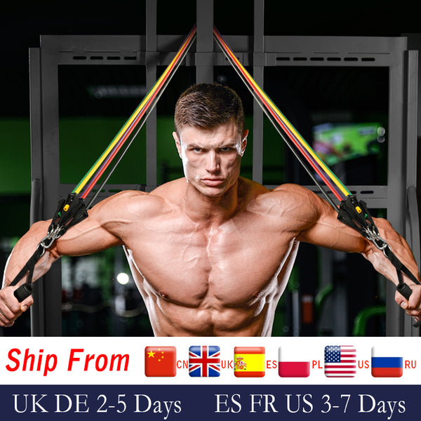 17Pcs Resistance Bands Set Expander Tubes Rubber Band Stretch Training Physical Therapy Home Gyms Workout Elastic Band Pull Rope