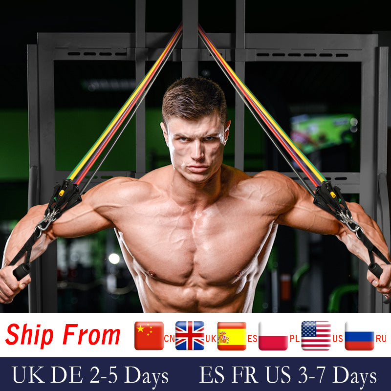 17Pcs Resistance Bands Set Expander Tubes Rubber Band Stretch Training Physical Therapy Home Gyms Workout Elastic Band Pull Rope