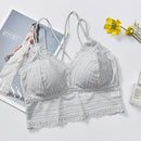 New Sexy Seamless Lace Bralette Womens Bra Tops Summer Lingerie Bra Camisole Girls Breathable Tube Top