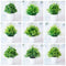 1pc Artificial Plants Green Bonsai Small Tree Pot Plants Fake Flower Potted Ornaments for Home Decoration Craft Plant Decorative