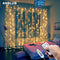 3M LED Curtain Garland on the Window USB String Lights Fairy Festoon Remote Control New Year Christmas Decorations for Home Room