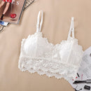 Lace Sexy Lingerie Wireless Bra For Women Padded Push Up Bralette Female Brassiere Summer Soft Backless Fashion bras Underwear