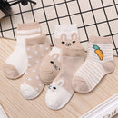5Pairs/lot 0-9Y Kids Socks Summer Cotton Cartoon Animal Kids Socks Carrot Girls Mesh Cute Newborn Boy Toddler Children Socks