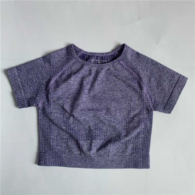 Women's Seamless Short Sleeve Crop Top Yoga Shirts Slim Fit Running Fitness T-shirts Workout Tops For Women Gym Sport Cycling