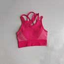 Seamless Yoga Set 2 Pcs Sports Suit Female Workout Clothes Sports Bra+High Waist Gym Shorts Running Women Sportwear